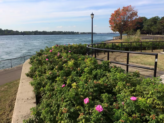 Broderick Park photo 1